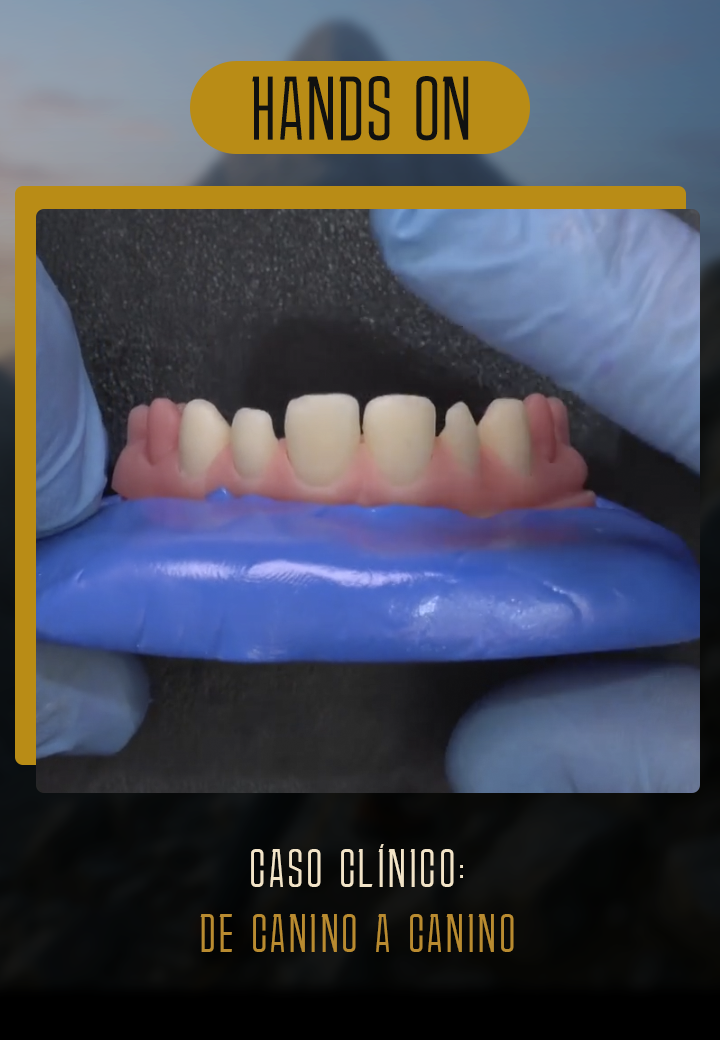 caso-clinico-canino-a-canino